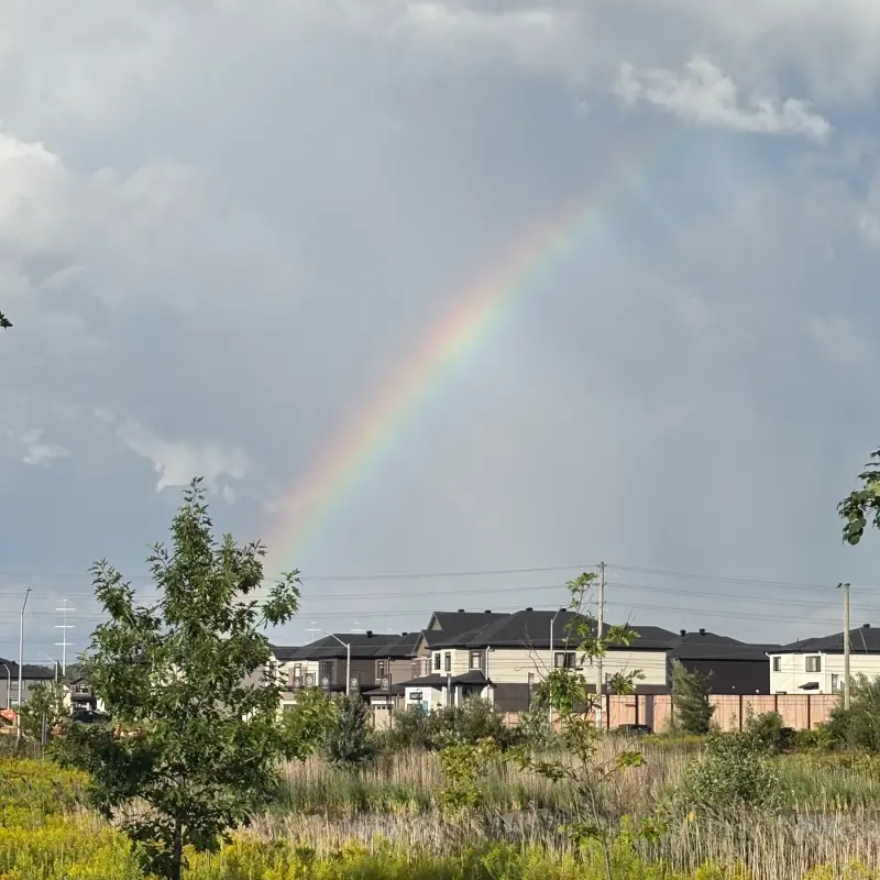A square crop of the same rainbow, arcing down behind a row of new houses above an overgrown field