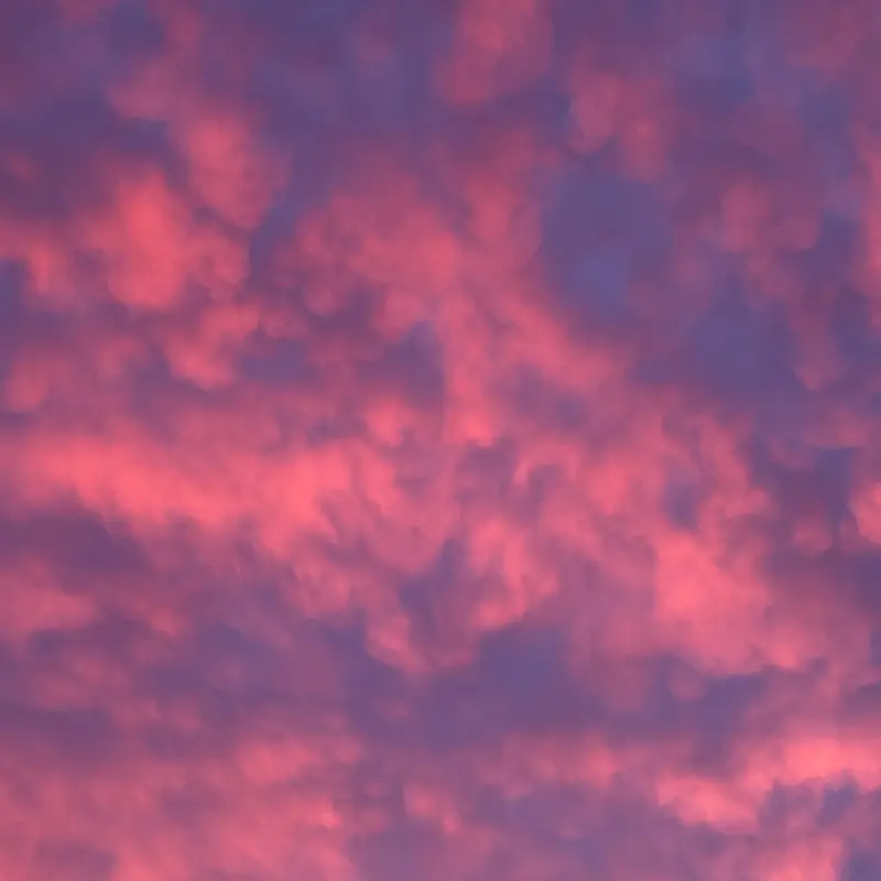 Lumpy pink and purple cloud undersides filling the whole frame, lit from below at dawn