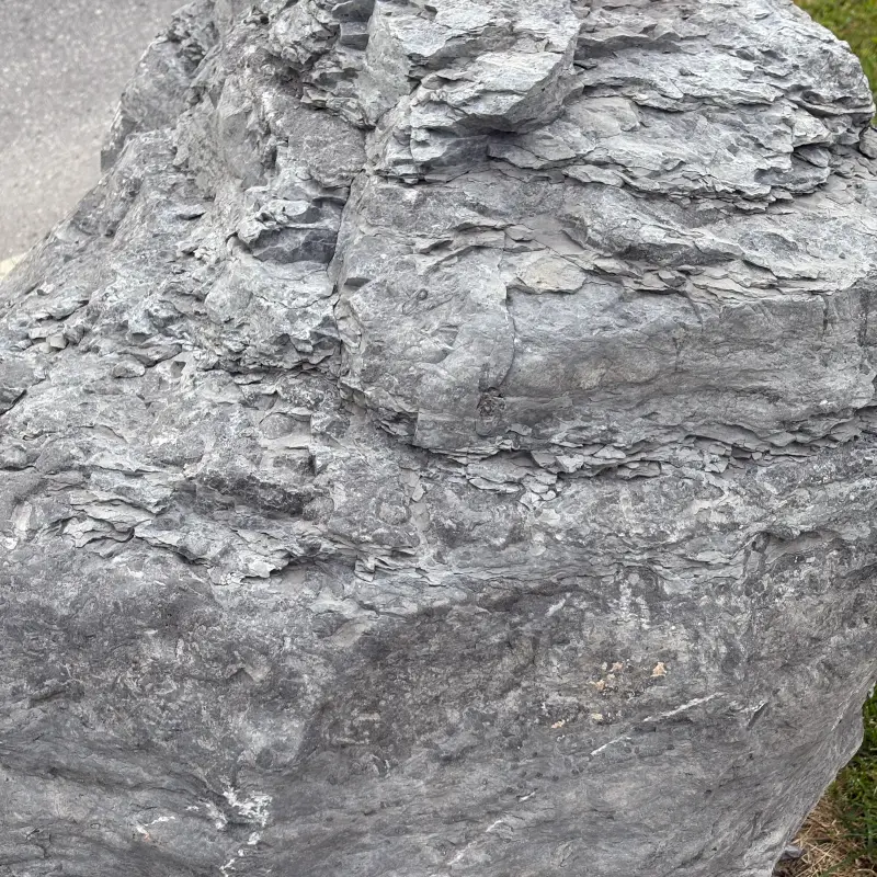 A large grey limestone boulder filling almost the whole frame in soft early light, its upper bedding planes splitting into thin flaky plates and the lower face smoother and rust-stained, with a strip of asphalt at the top left corner and mown grass at the right edge