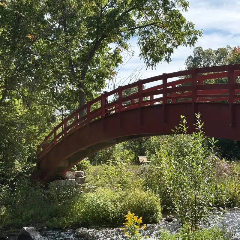 A red-painted arched footbridge sweeping across the frame from lower left to upper right with a single figure standing on it, big leafy trees behind and above, a bench and a lamp standard on the far bank, goldenrod and tall weeds crowding the near bank and a shallow stony creek along the bottom edge