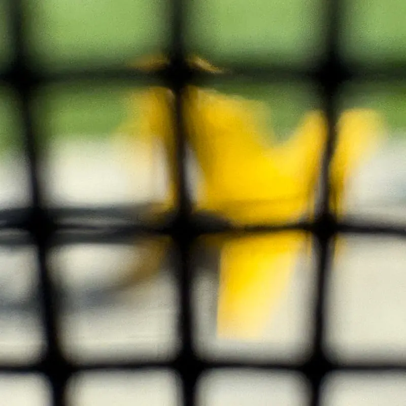 A black square-mesh fence held sharp across the whole frame with everything beyond it thrown far out of focus into bands of colour: green along the top, pale grey-white through the middle and lower half, and an unidentifiable bright yellow shape sitting in the centre